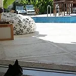 Hotel Alenos Boutique 2*