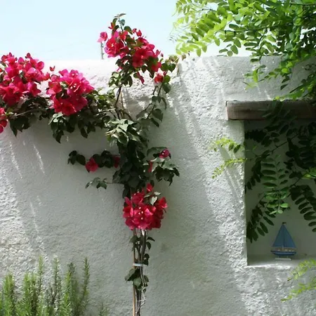 Alenos Boutique Hotel Alaçatı