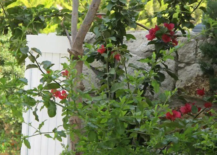 Szálloda Alenos Boutique 2*