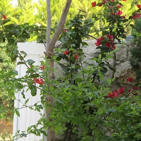 Hotel Alenos Boutique 2*