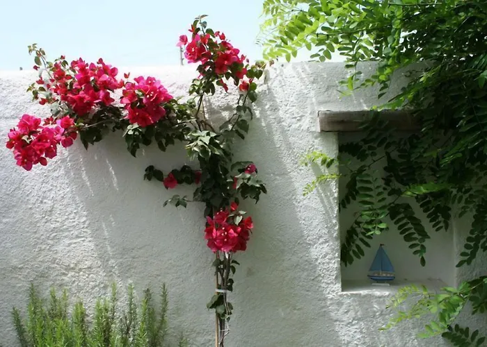 Alenos Boutique מלון אלאקאטי