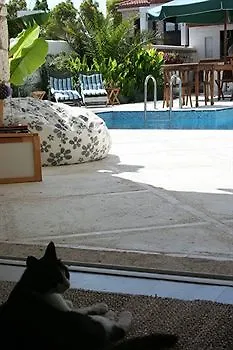 מלון Alenos Boutique 2*